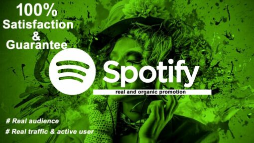 Organic spotify music promotion